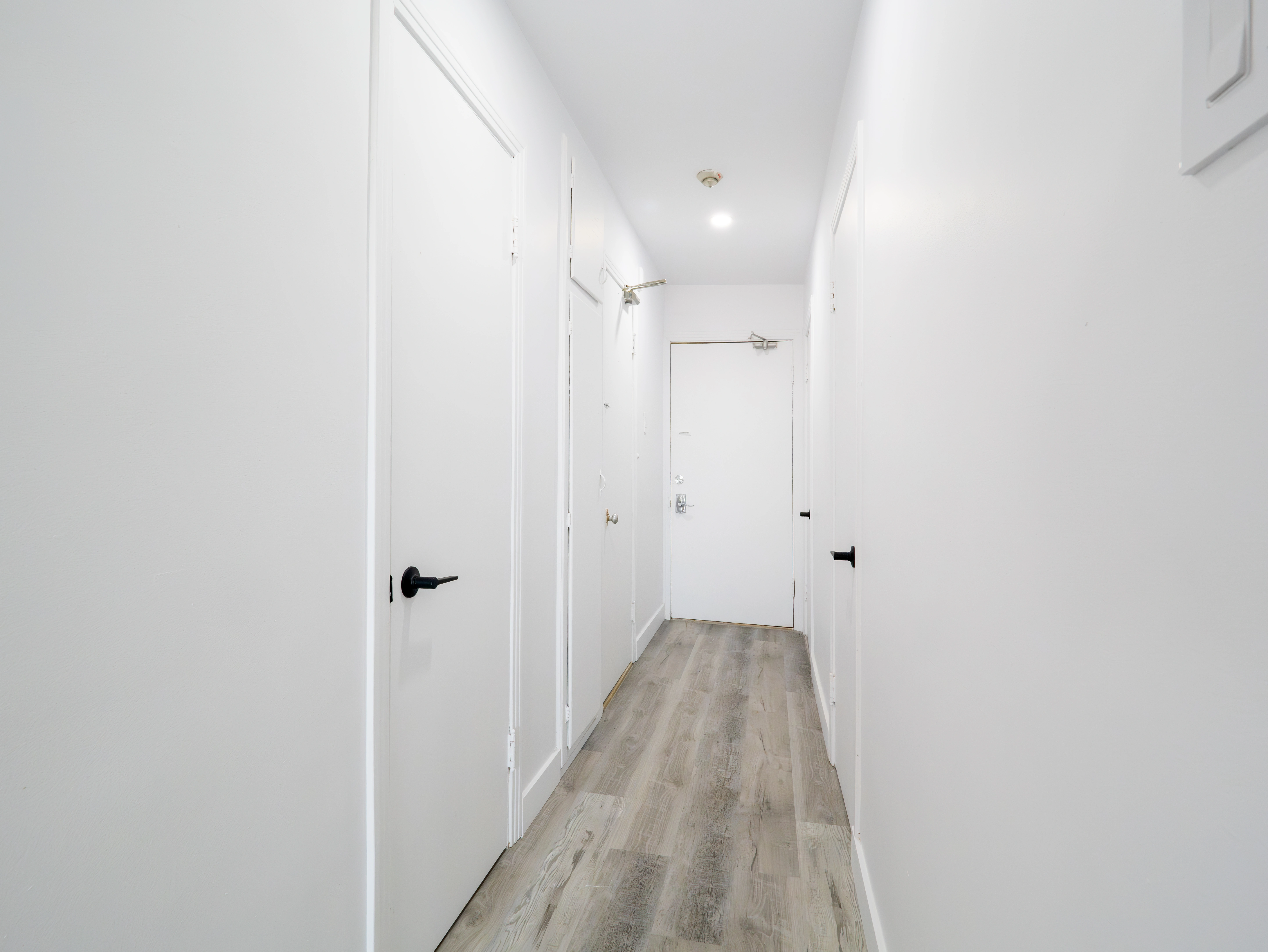 Private One-Bedroom Apartment for Focused Student Living