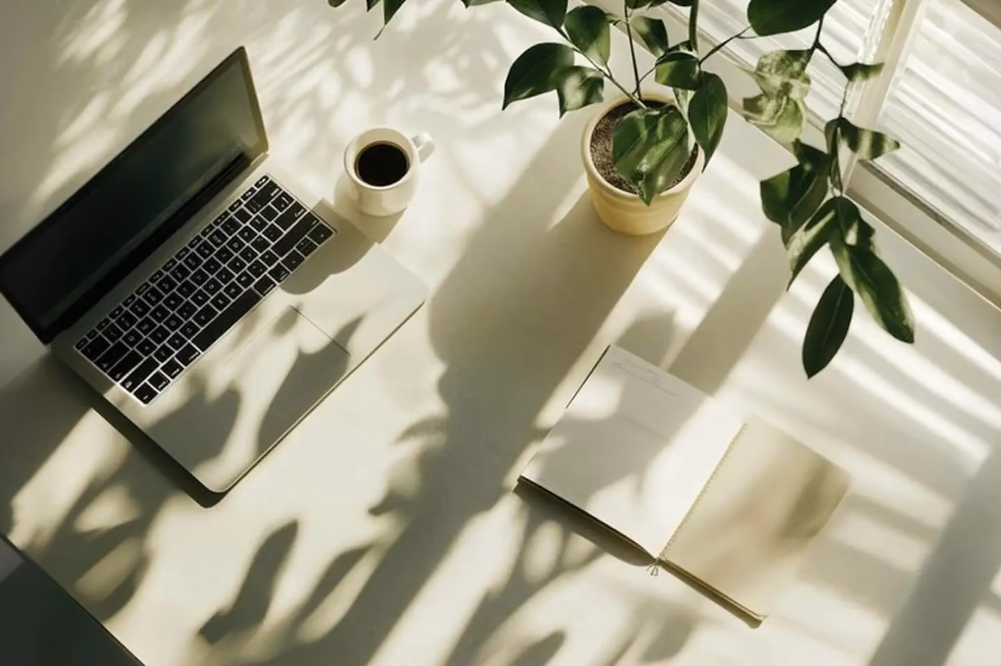 Top 10 Influencer Marketing Courses in 2025