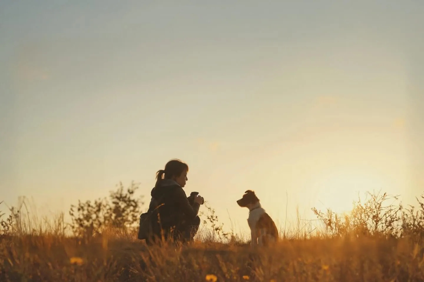 Top Animal Influencers of 2025: Pet Families & Multi-Pet Content Creators