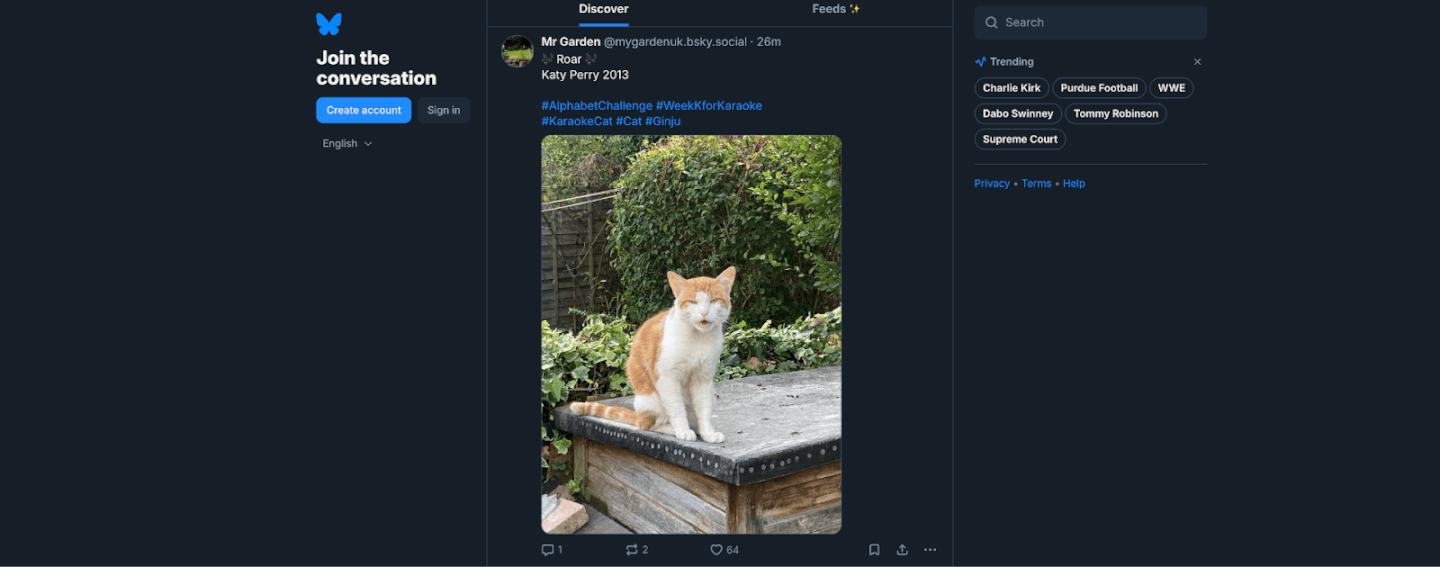 How Does BlueSky Work?