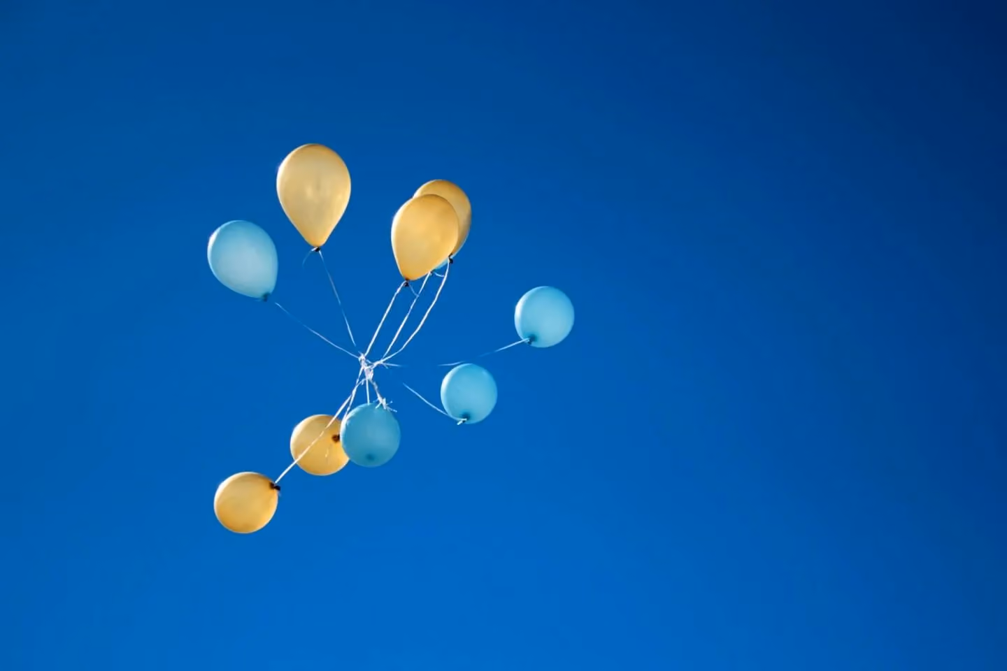 Amazon Launch Strategies