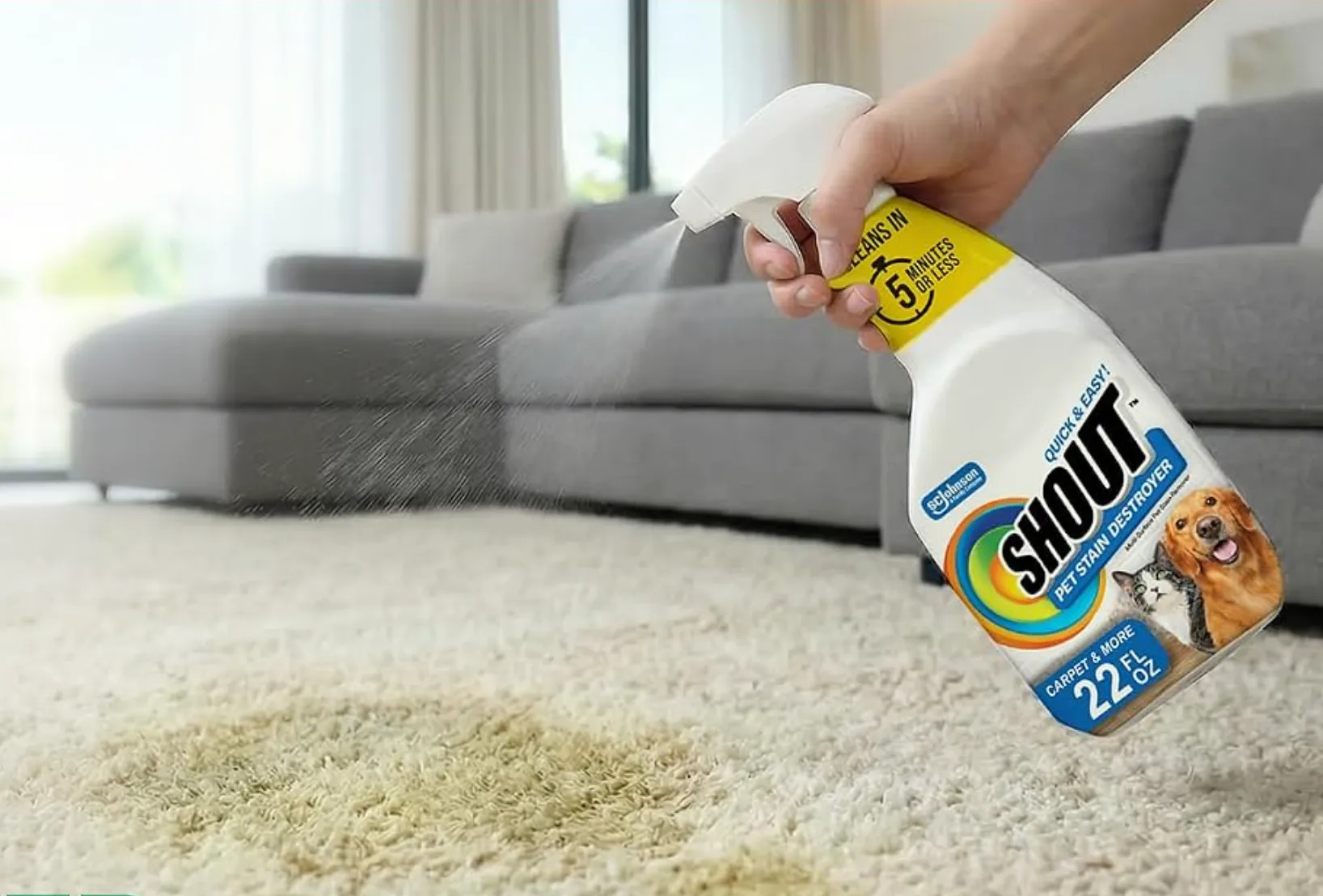 Hand spraying a pet stain remover on a carpet stain in front of a gray sofa