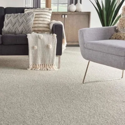 Jute rug in a living room