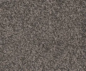 plush carpet available at Sloane's Carpet