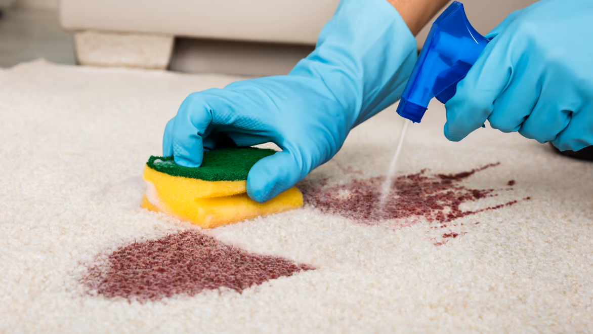 Top 5 Home Remedies for Carpet Stain Removal