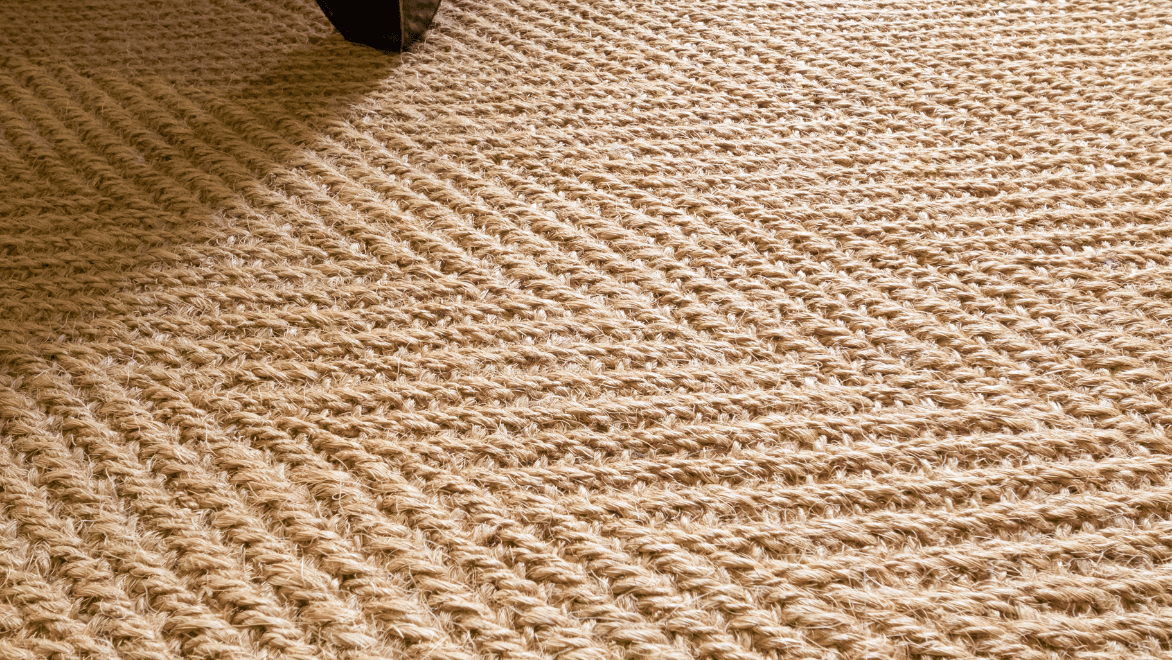 Sisal Carpet What is It and Why to Buy It