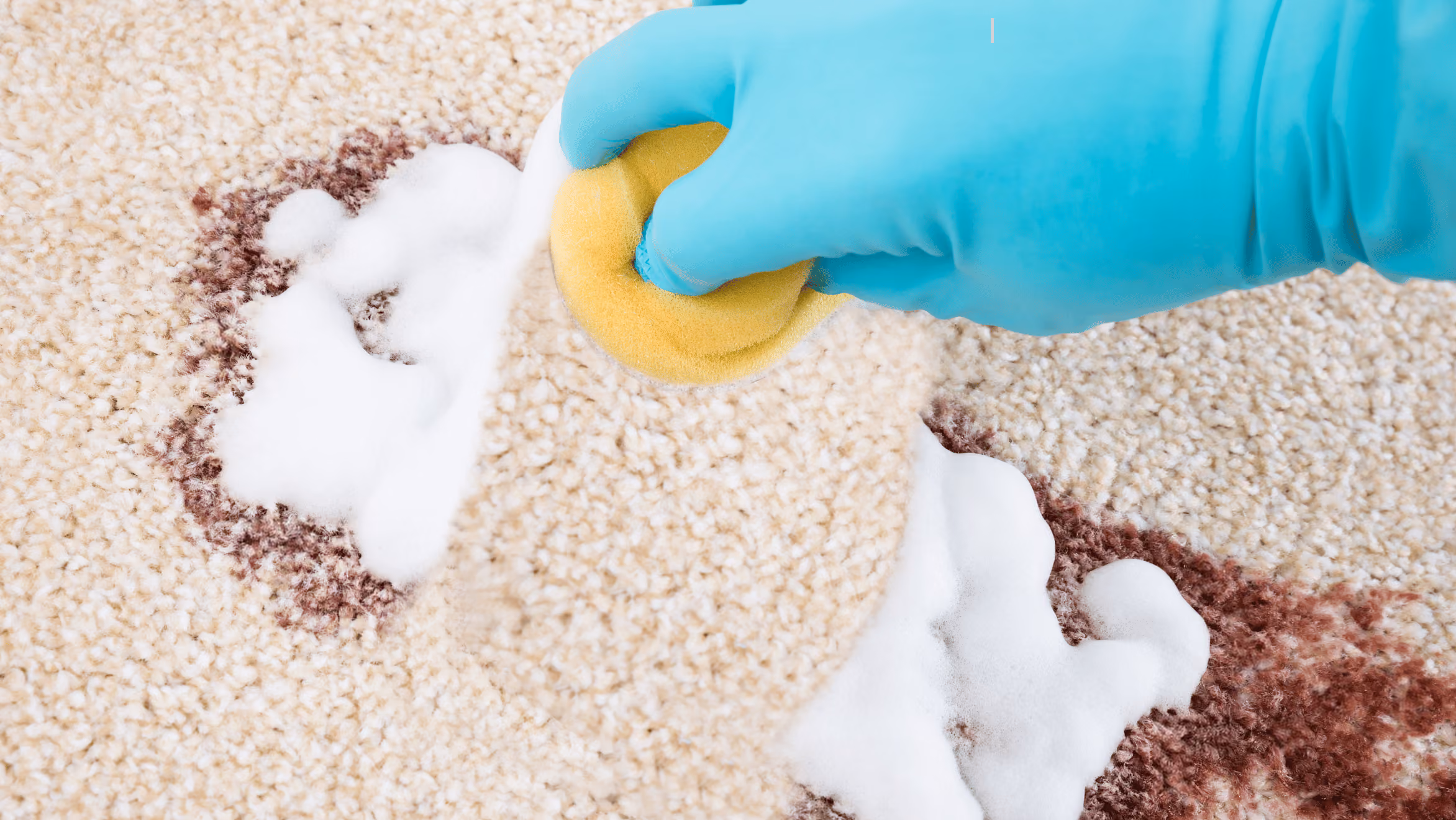 Does Carpet Deodorizer Actually Work?