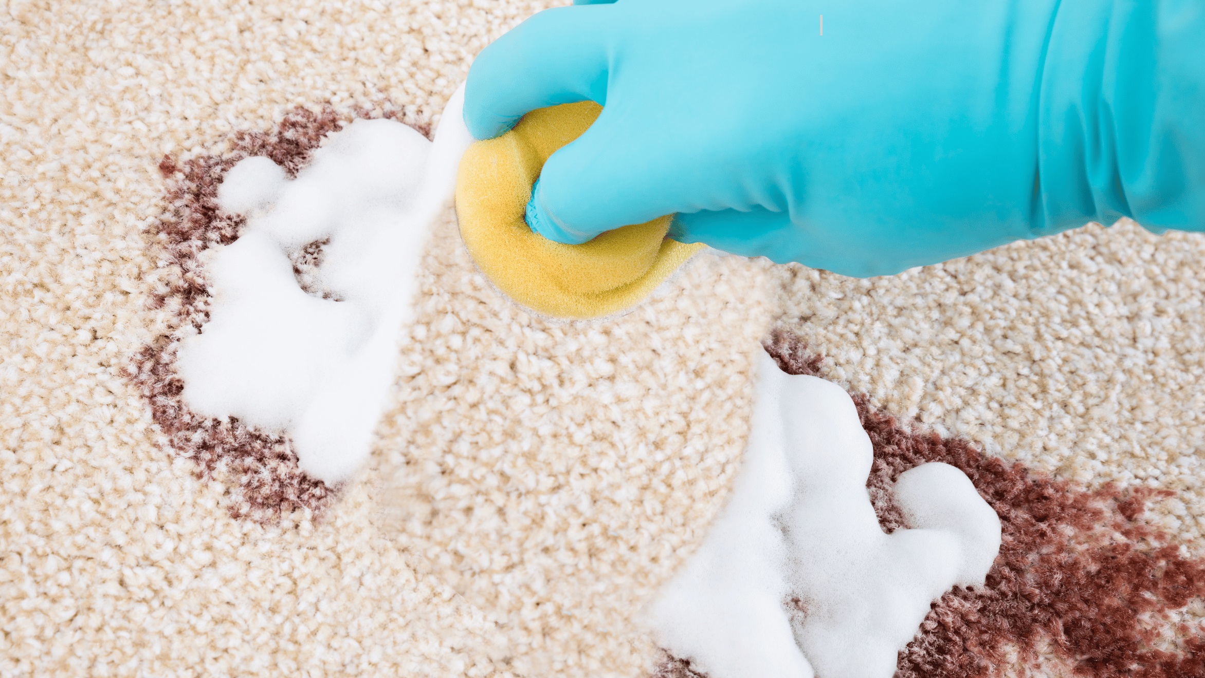 Does Carpet Deodorizer Actually Work?