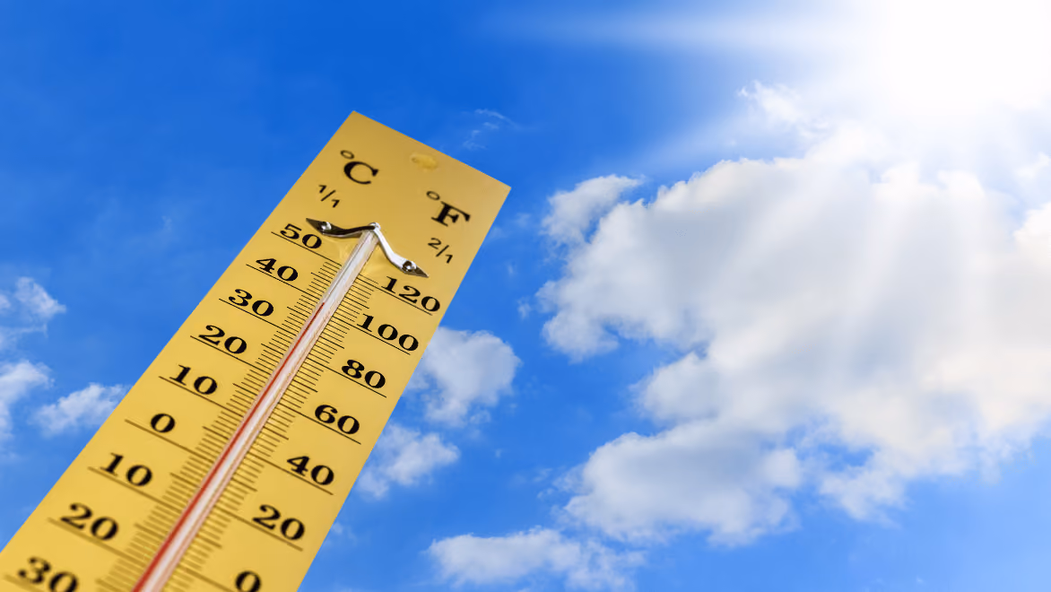 Can Carpet Keep Your Home Cooler in the Summer?