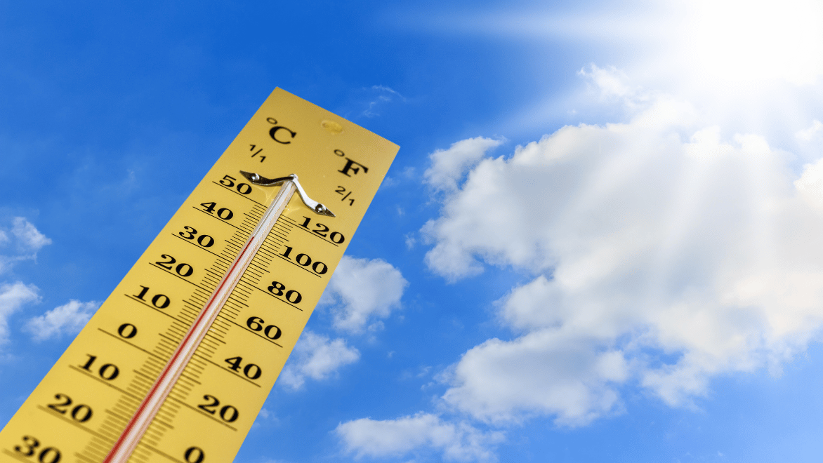 Can Carpet Keep Your Home Cooler in the Summer?