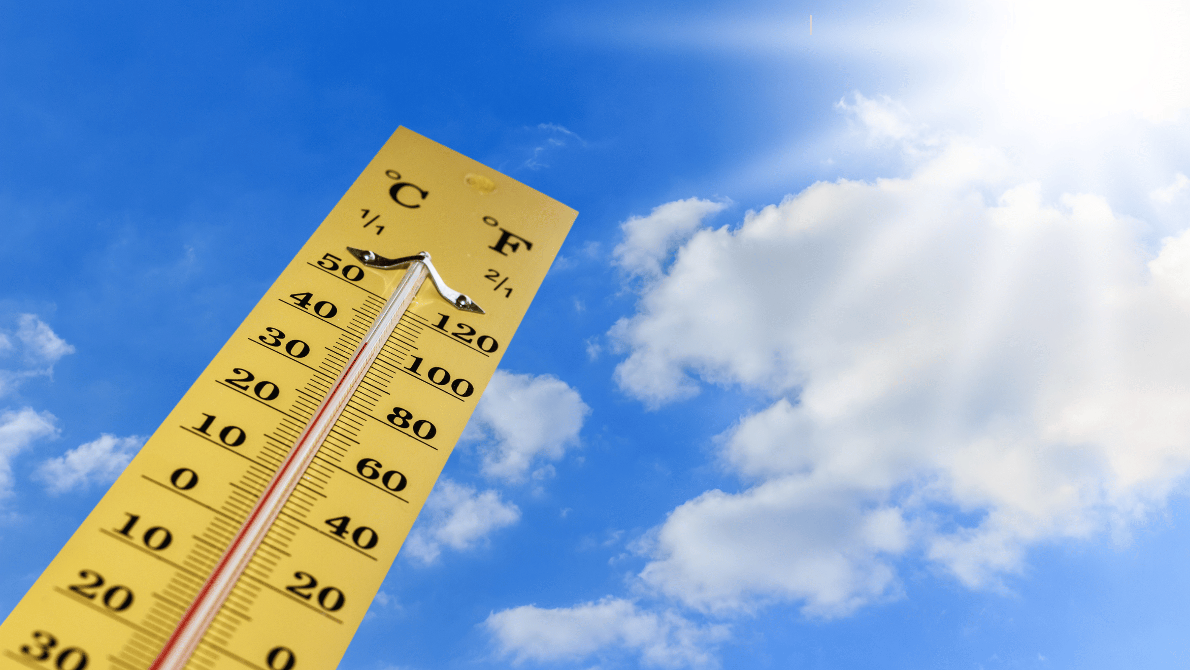 Can Carpet Keep Your Home Cooler in the Summer?