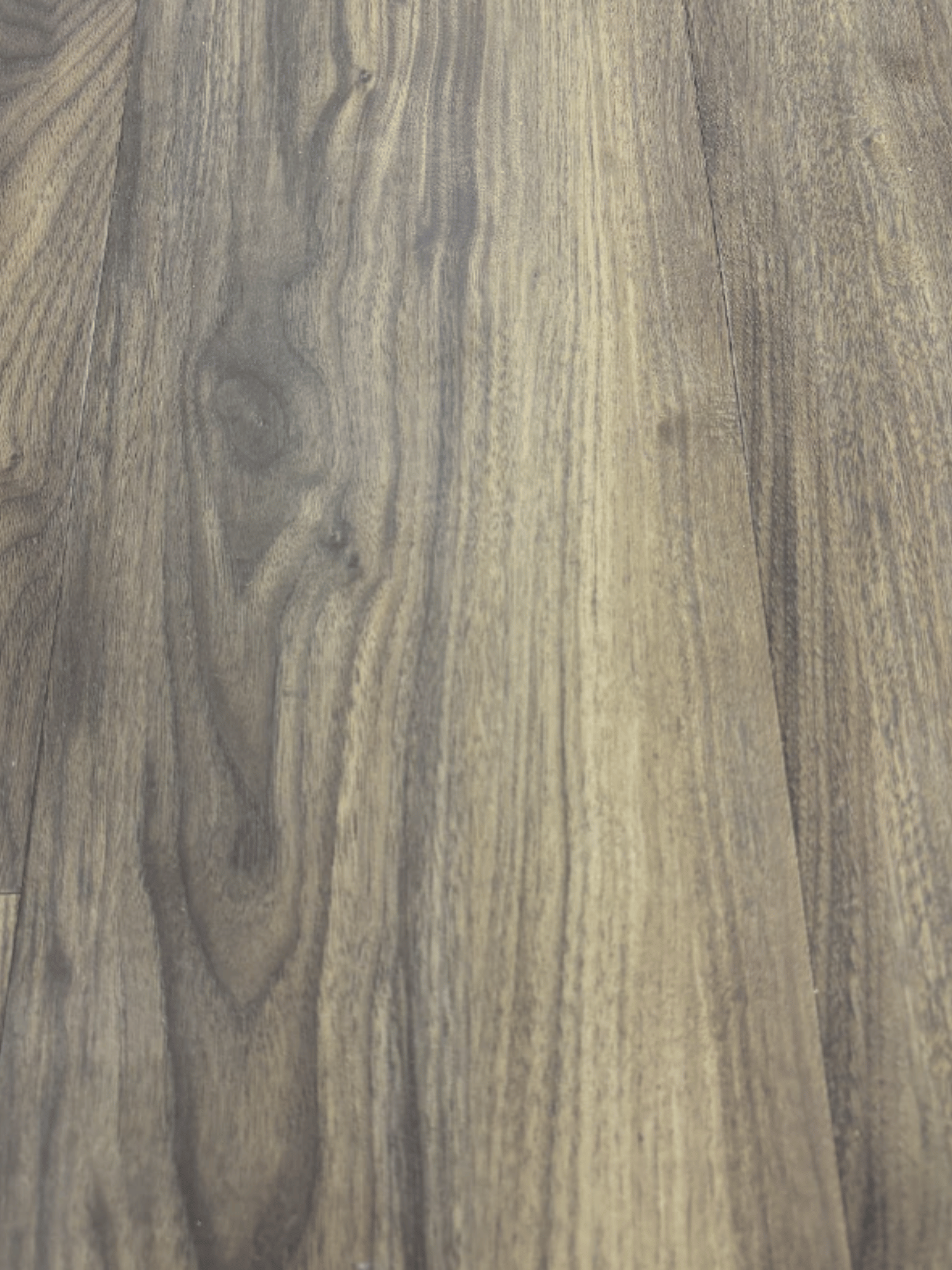 English Walnut Webley