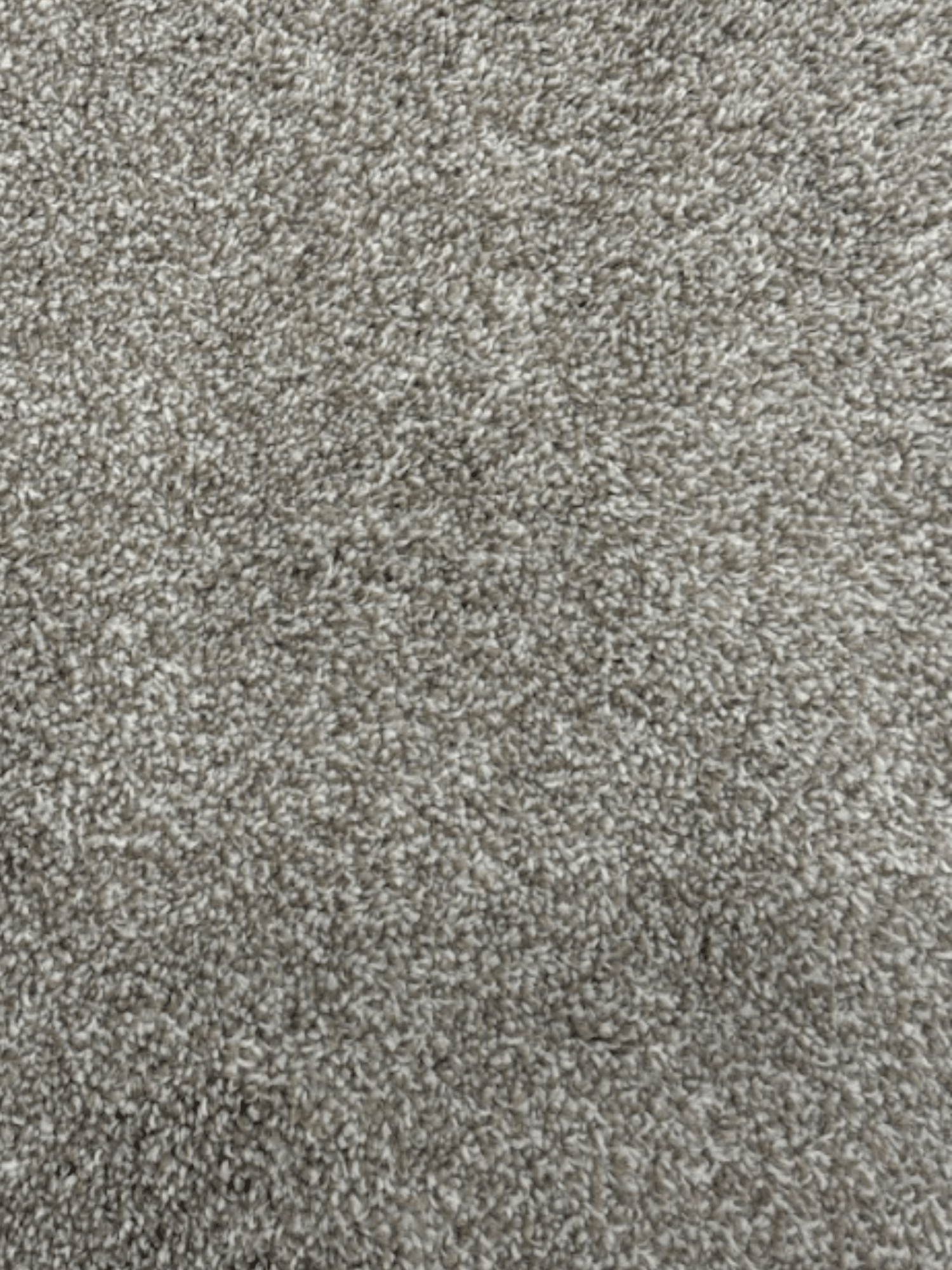 Silt & Satin Golden Sand