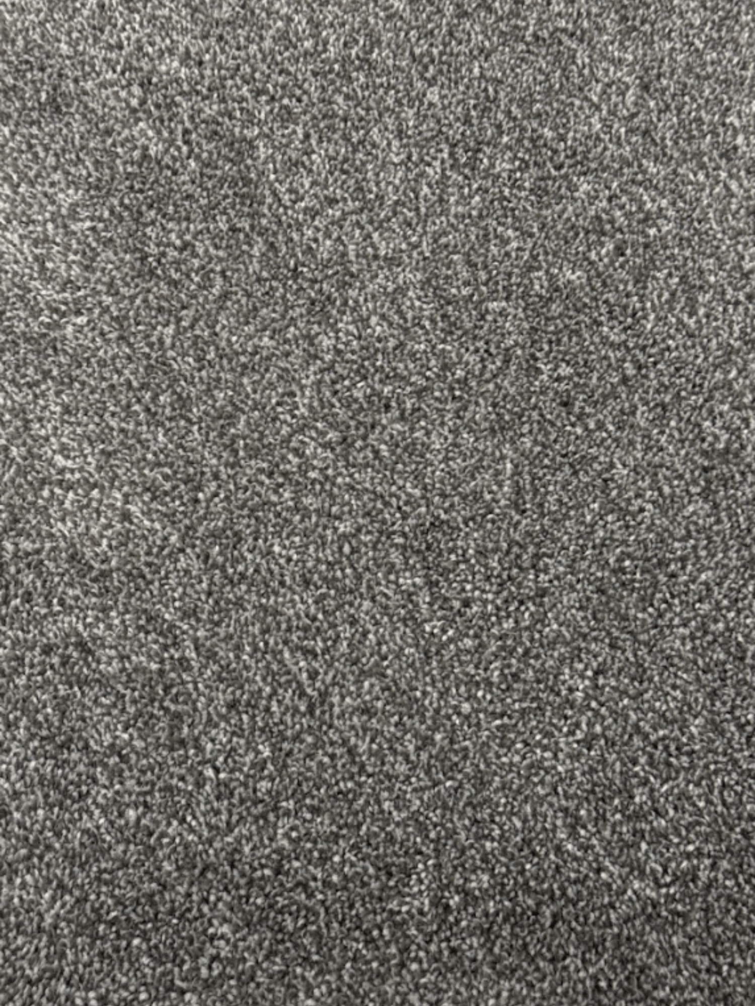 Silt & Satin Iron gate