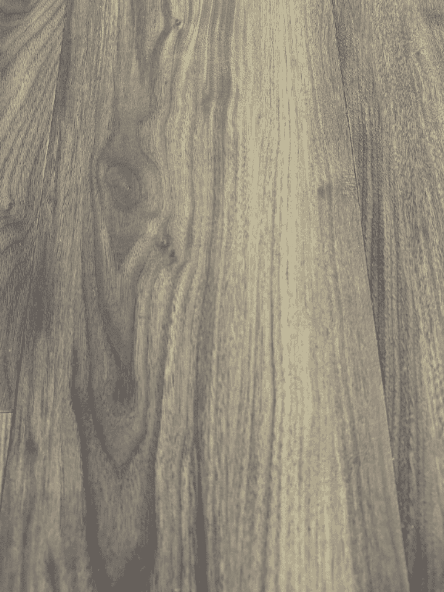 English Walnut Webley