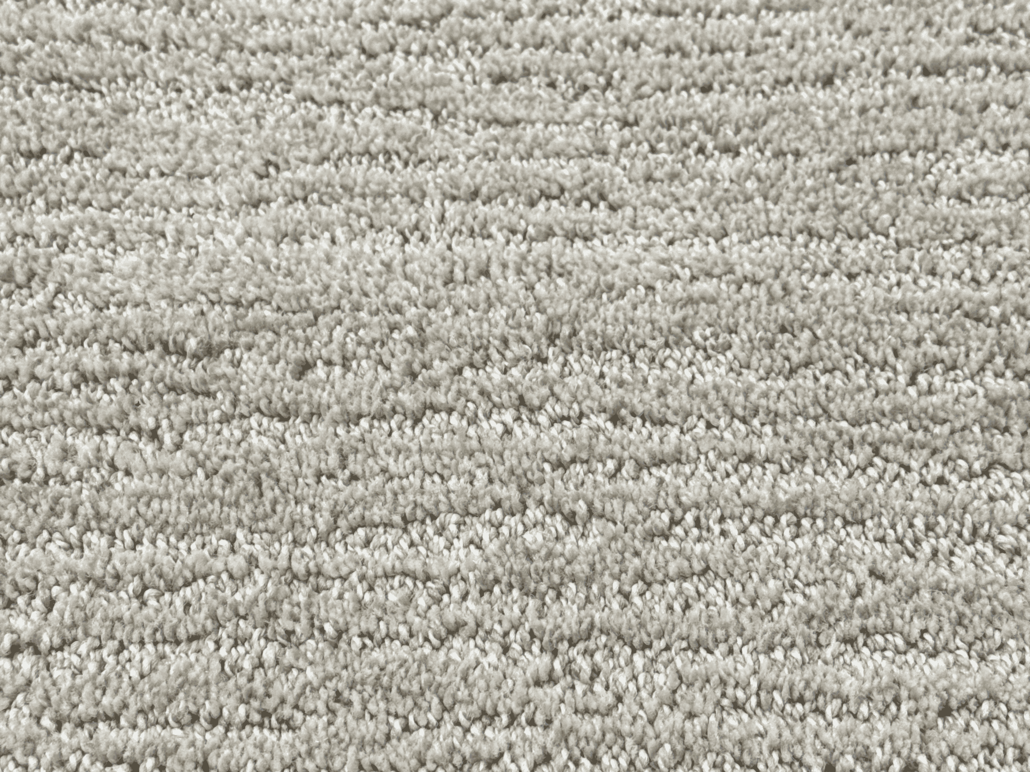 Tagus