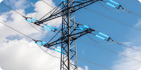 Open-concept office space with natural light and greenery, visualizing the space that’s breathing and creates values.