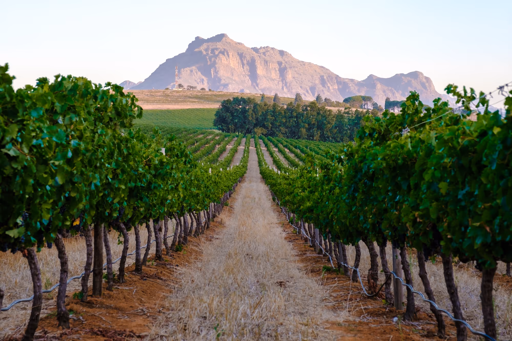 South Africa