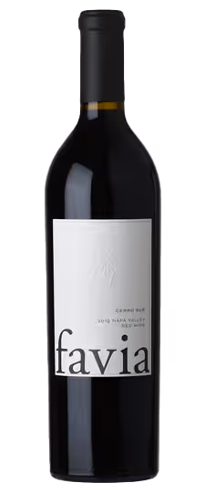 2019 Favia Cerro Sur