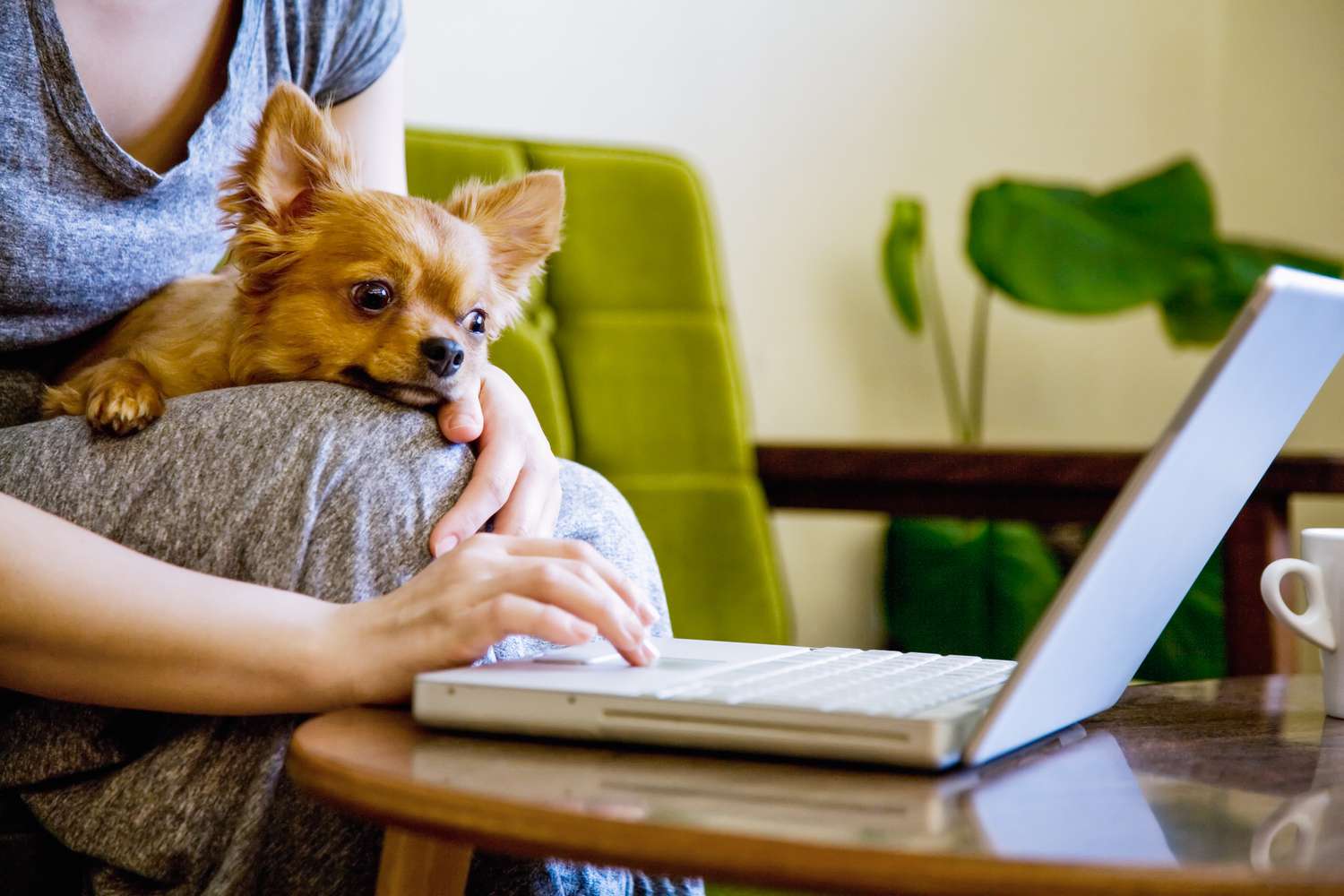 How to Support Your Favorite Local Restaurants During a Pandemic