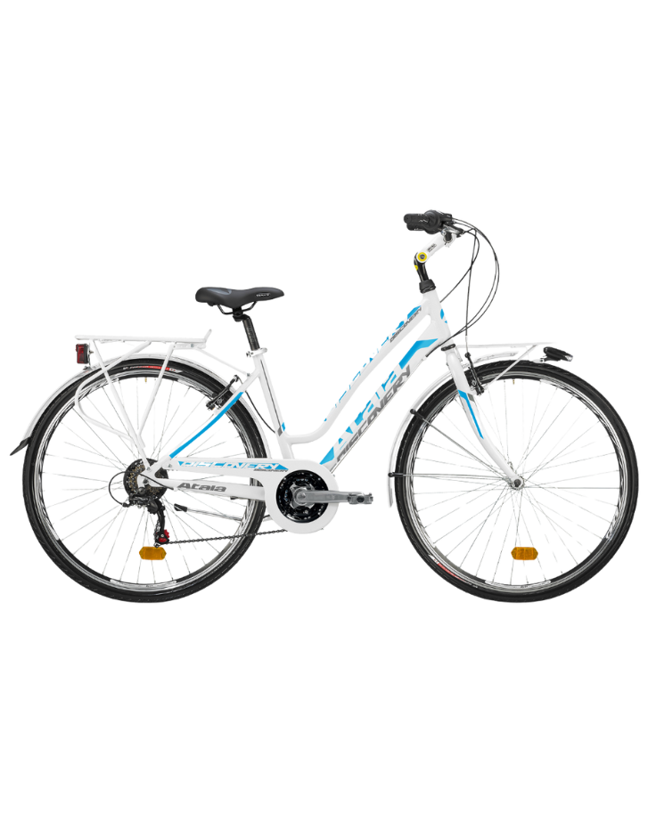 A modern, open-concept workspace filled with natural light and greenery, reflecting the clean and organized design of Nimbus Library.