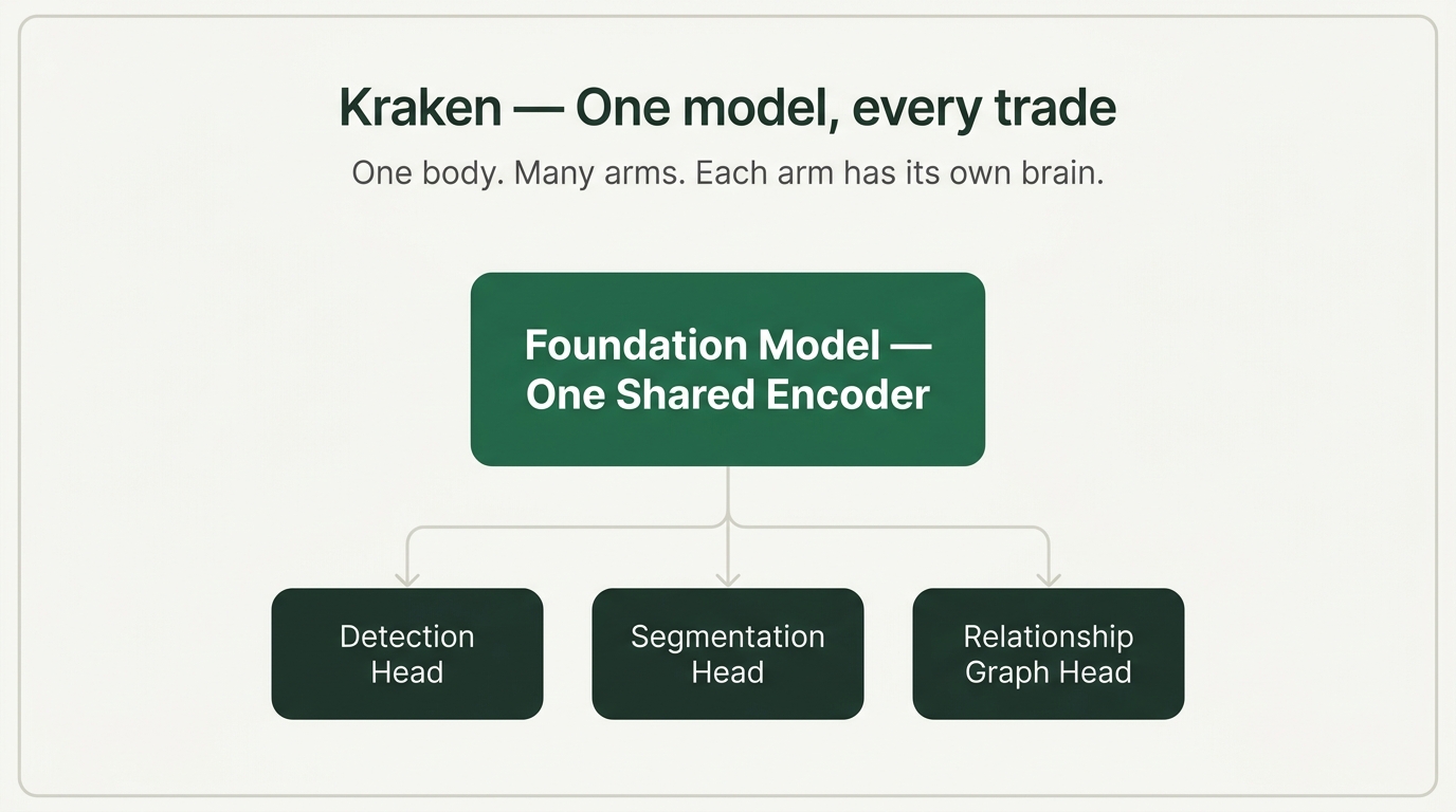 Kraken architecture diagram showing one shared foundation-model encoder feeding three trade-specific heads: detection, segmentation, and relationship graph