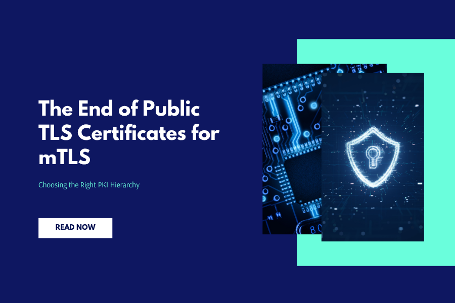 The End of Public TLS Certificates for mTLS: Choosing the Right PKI Hierarchy