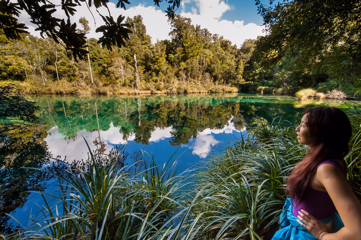 Visitors enjoying a farm tour on guided outdoor adventures Hawke's Bay