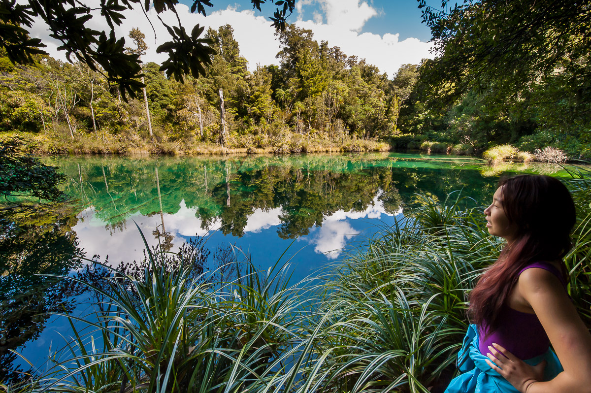Visitors enjoying a farm tour on guided outdoor adventures Hawke's Bay