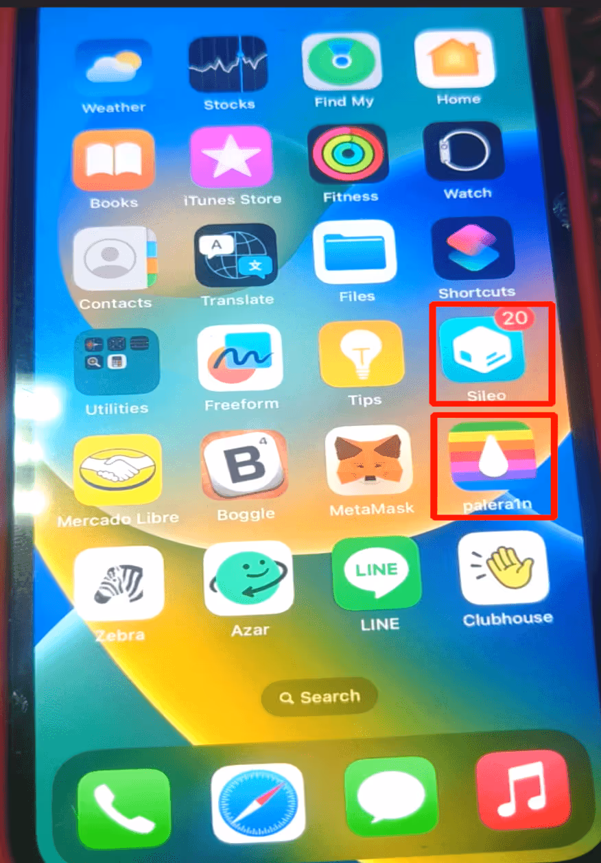 Palera1n Installation