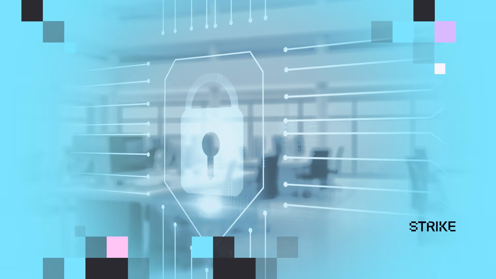 Why every business needs a Vulnerability Management System