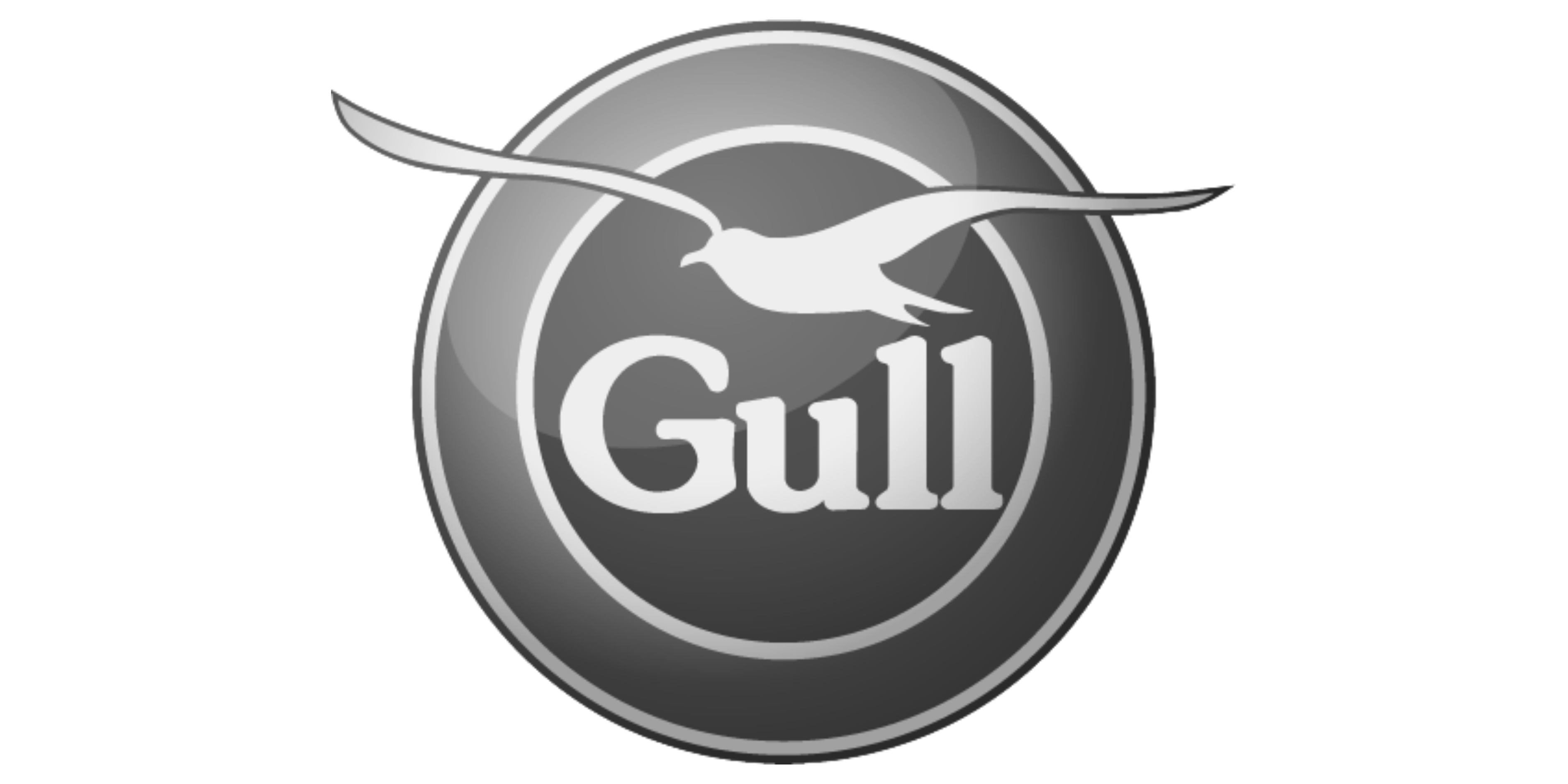 gull
