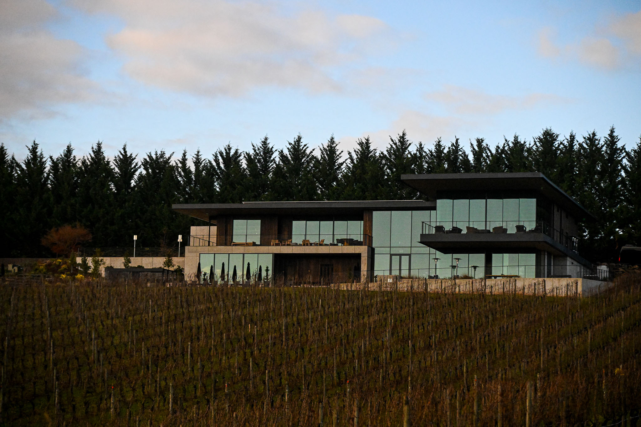 LucidWild Estate's contemporary winery building above bare vineyard rows in the Dundee Hills