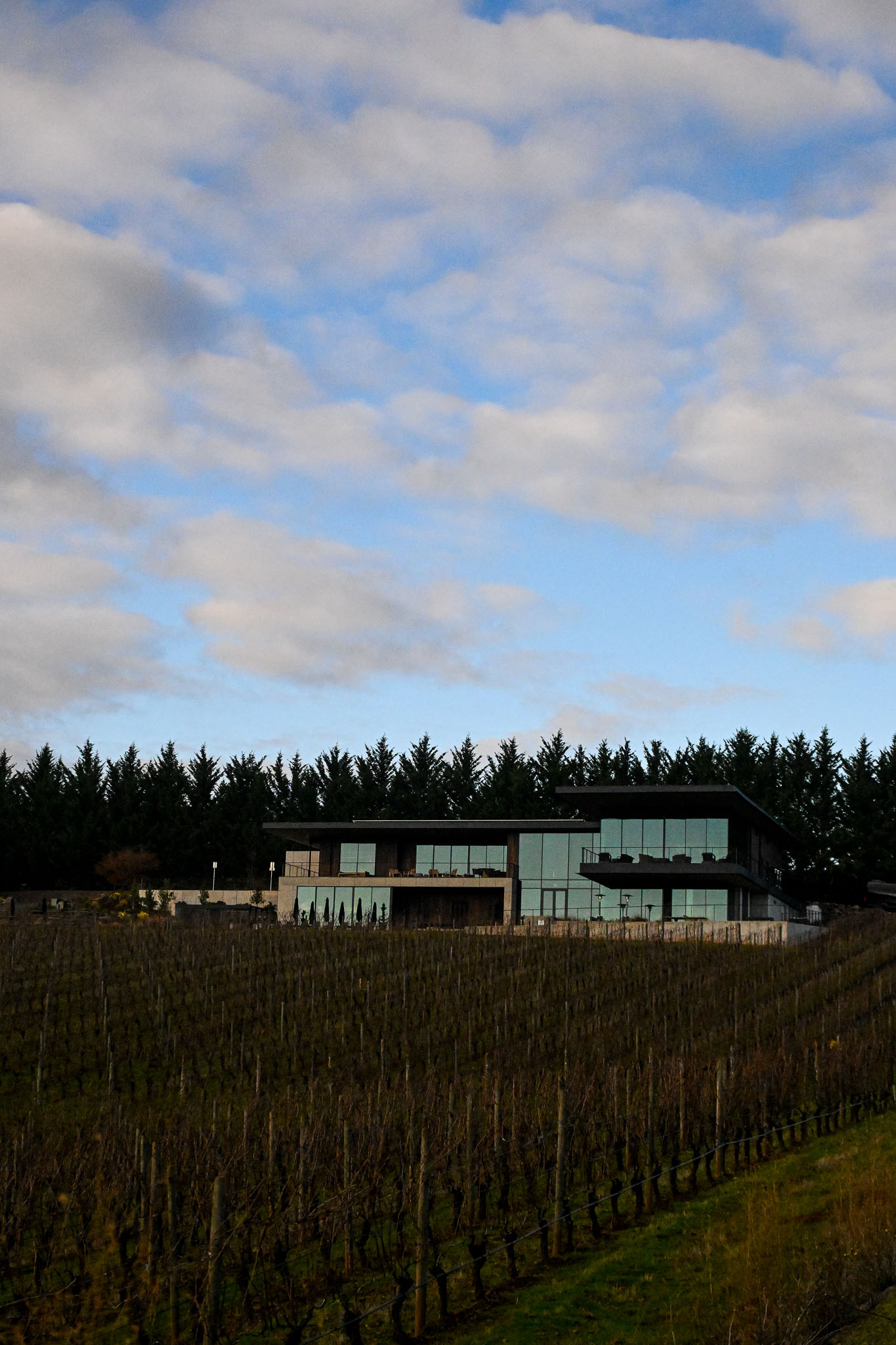 The glass and timber winery at LucidWild Estate seen above dormant vineyard rows