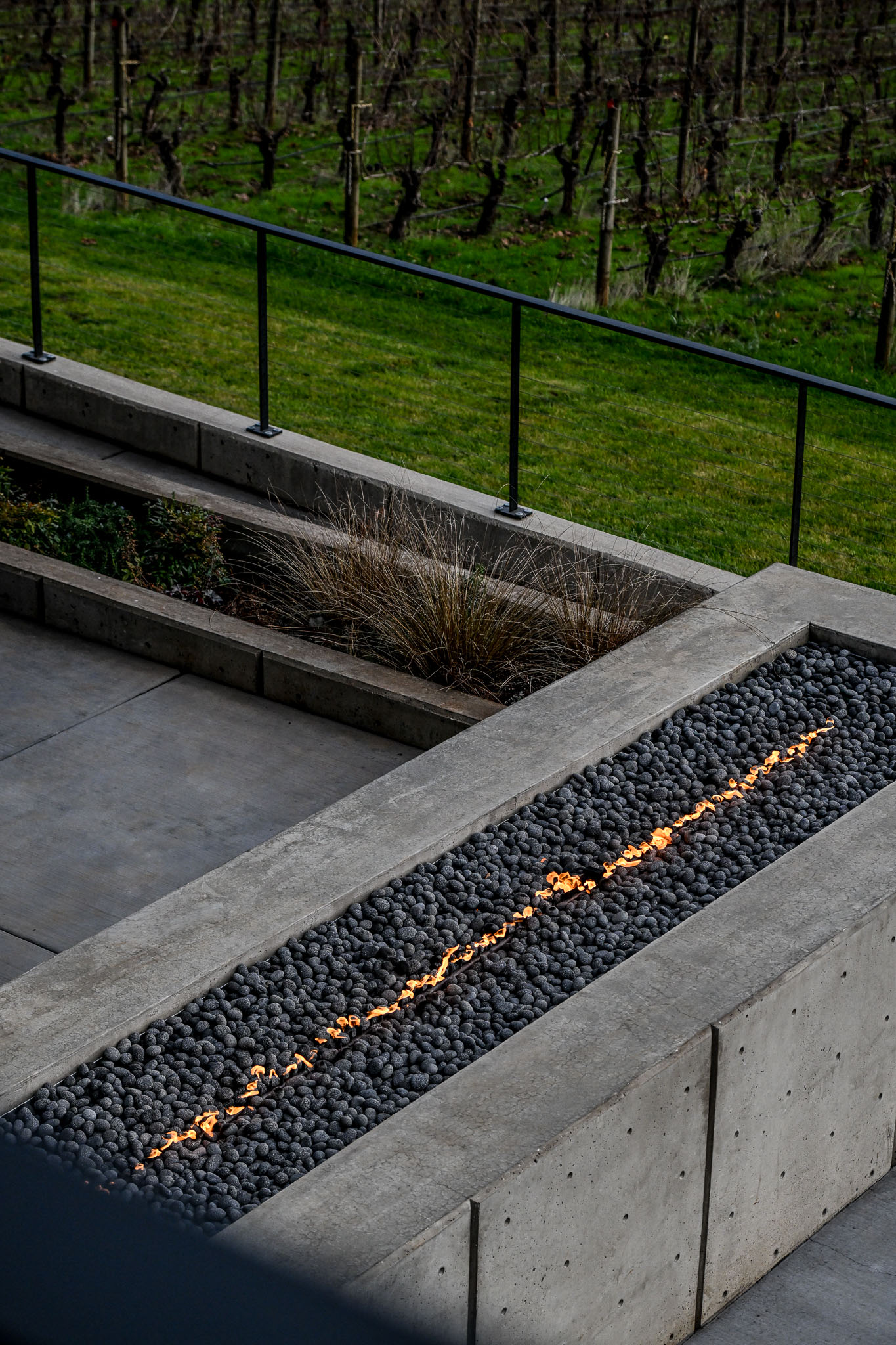 Glowing linear fire feature cutting across the terrace above vineyard rows at LucidWild