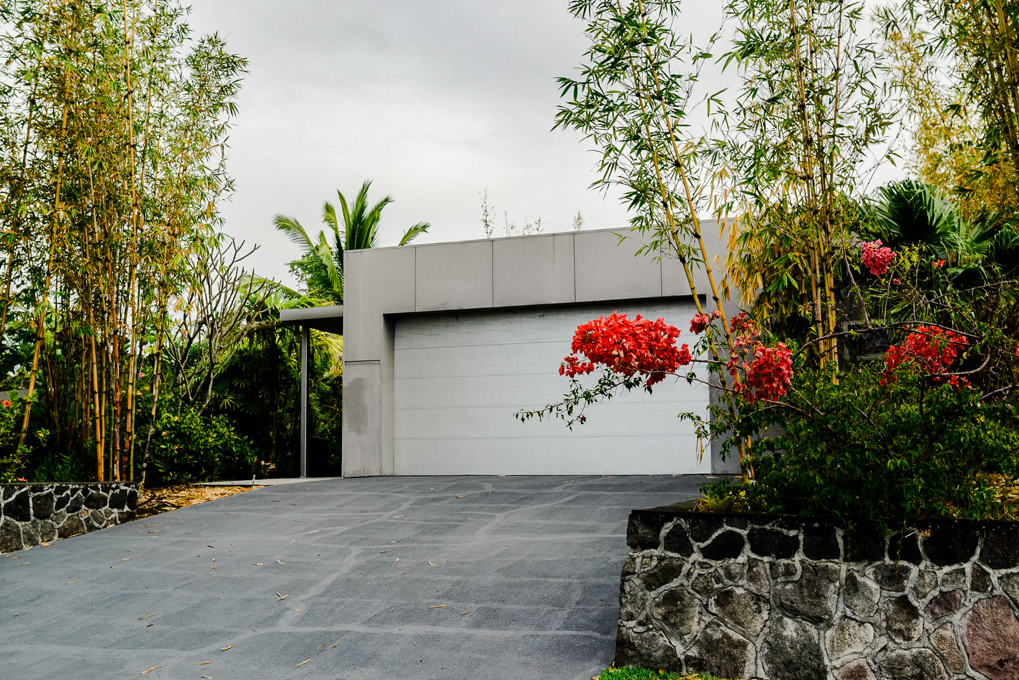 Concrete entry drive with bougainvillea spilling over the wall of the Trickey House