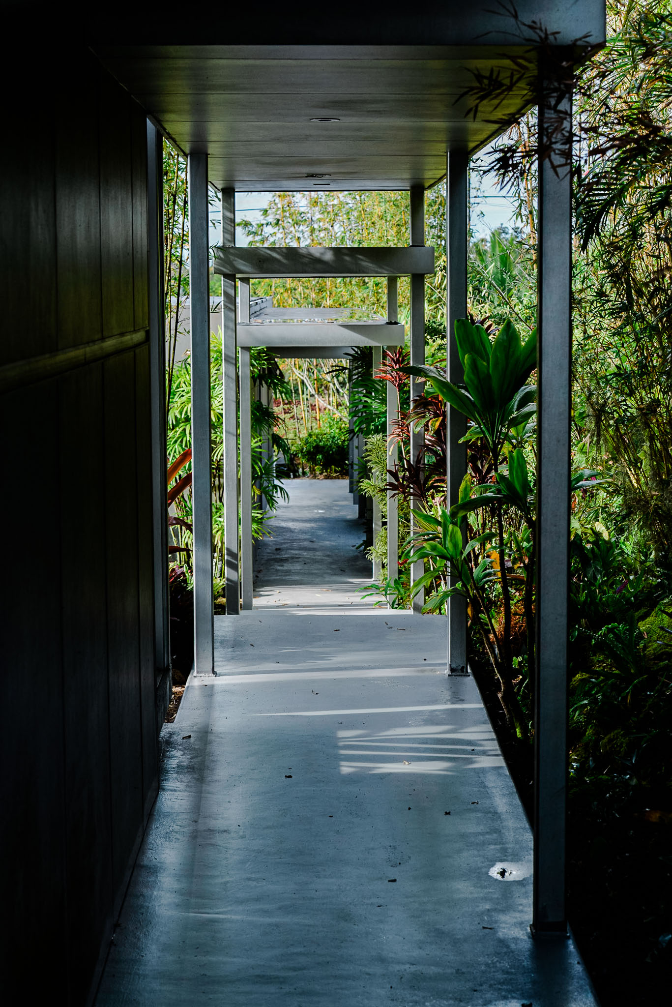 View through the house to a garden path lined with heliconia