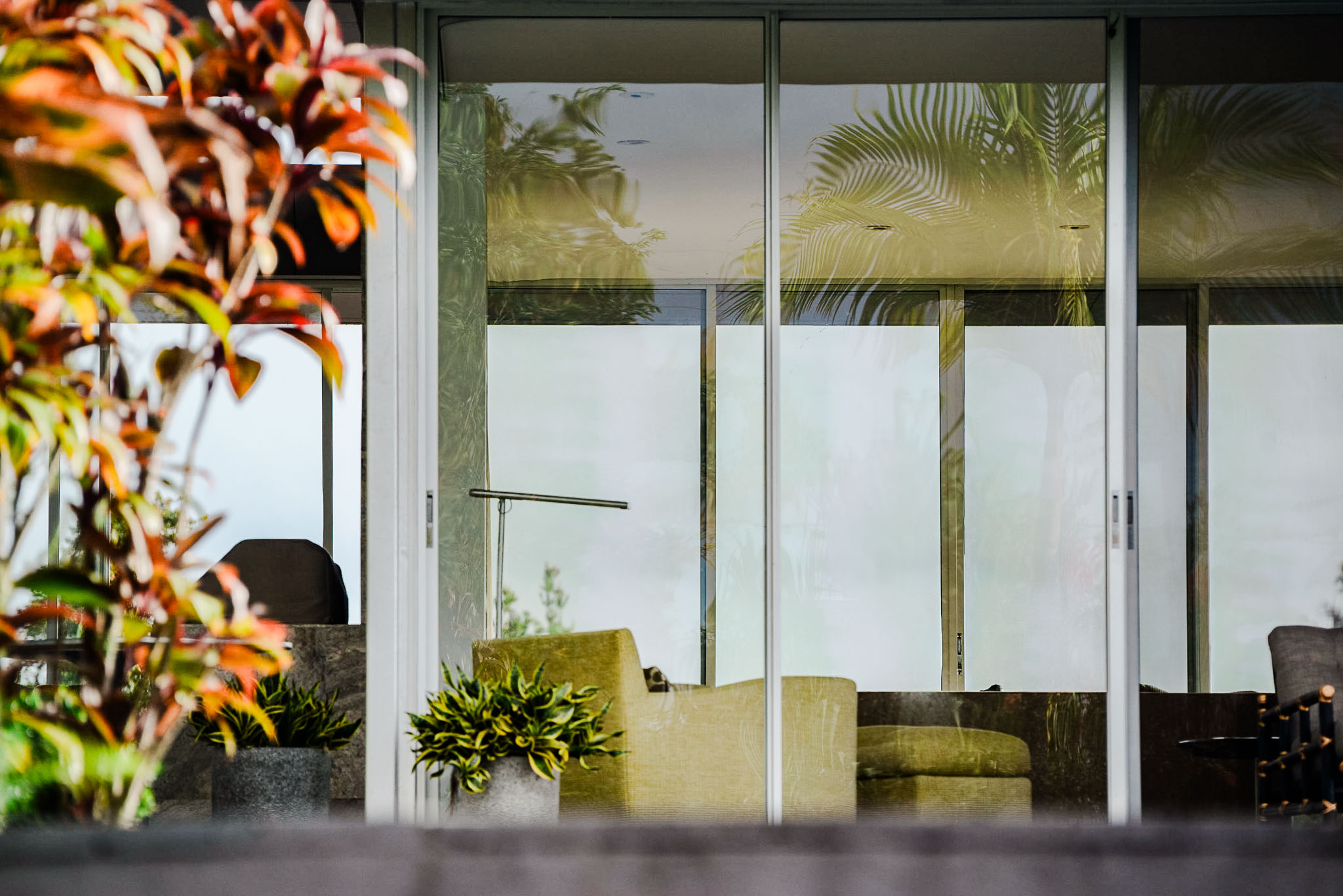 Sliding glass wall of the Robert Trickey House seen through red ti leaves