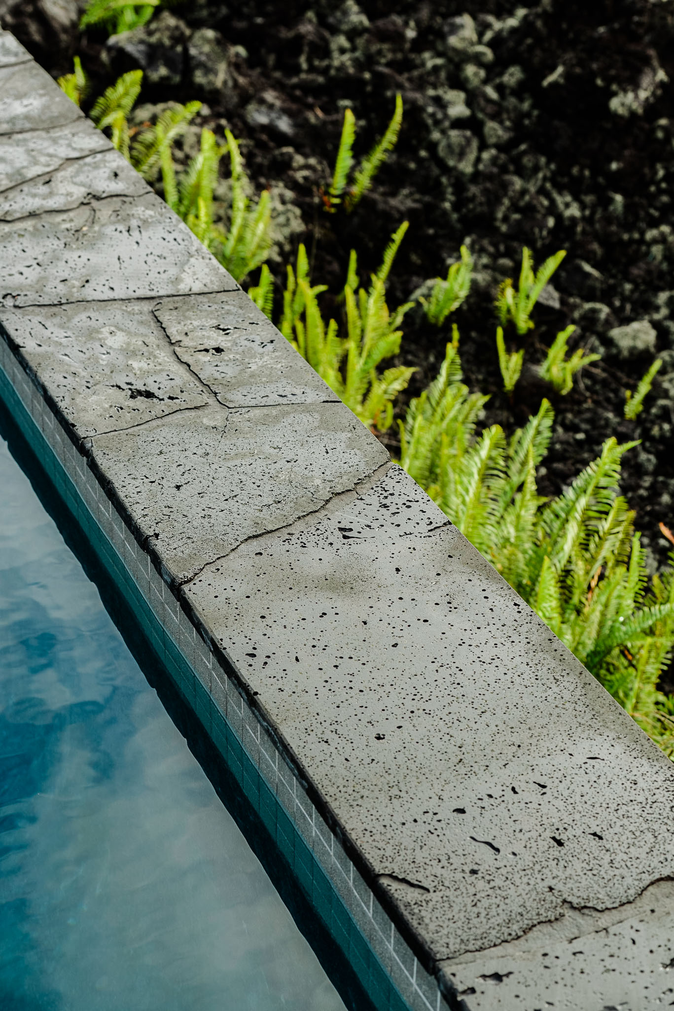 Concrete pool coping running between the water and ferns growing out of lava rock
