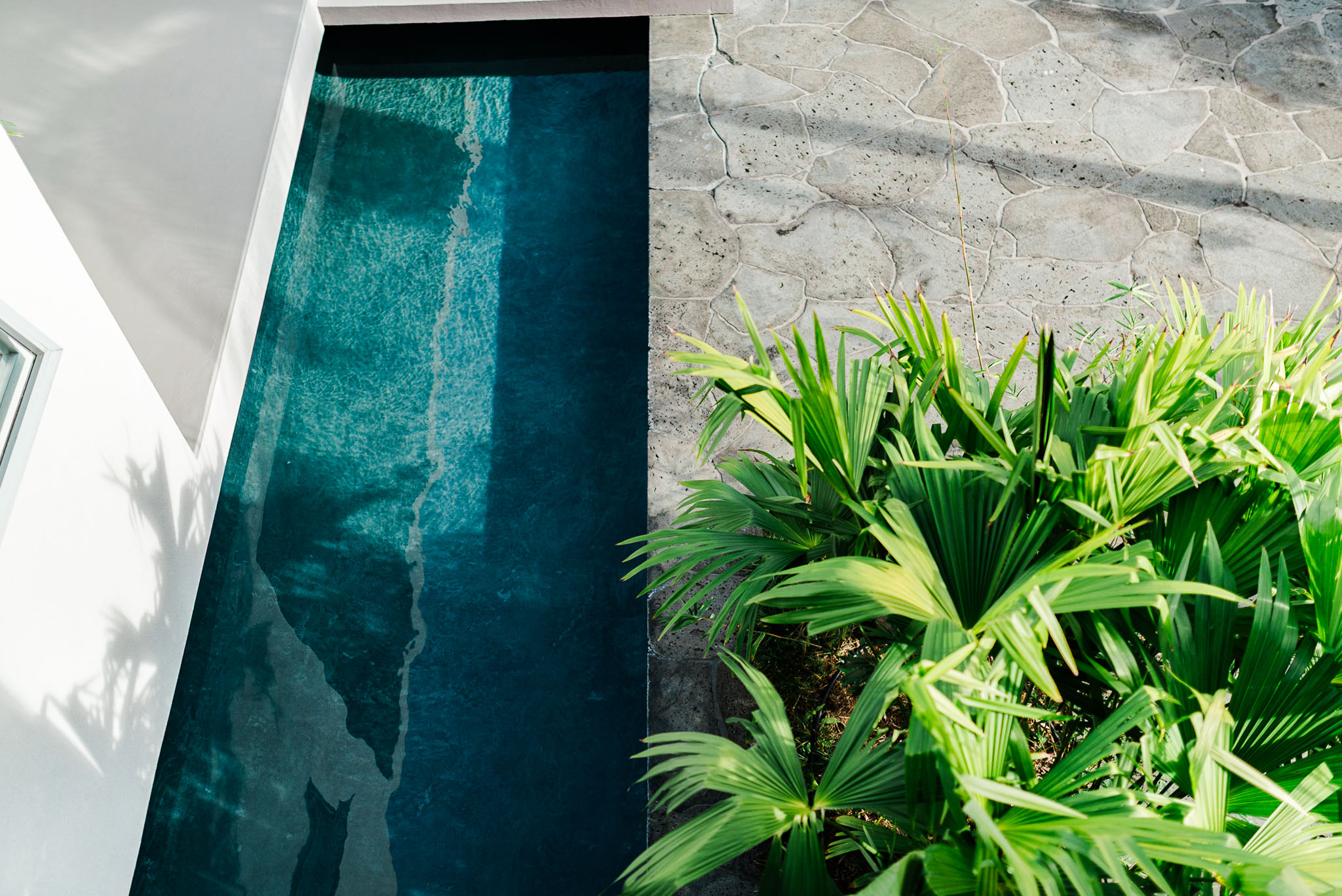Pool water meeting a lava wall planted with ferns