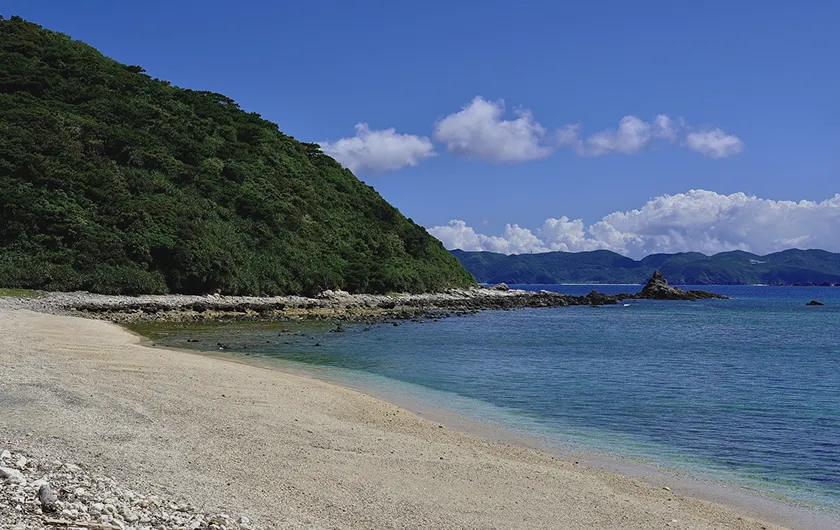 白い砂浜と青い海が広がる美しい海岸の景色