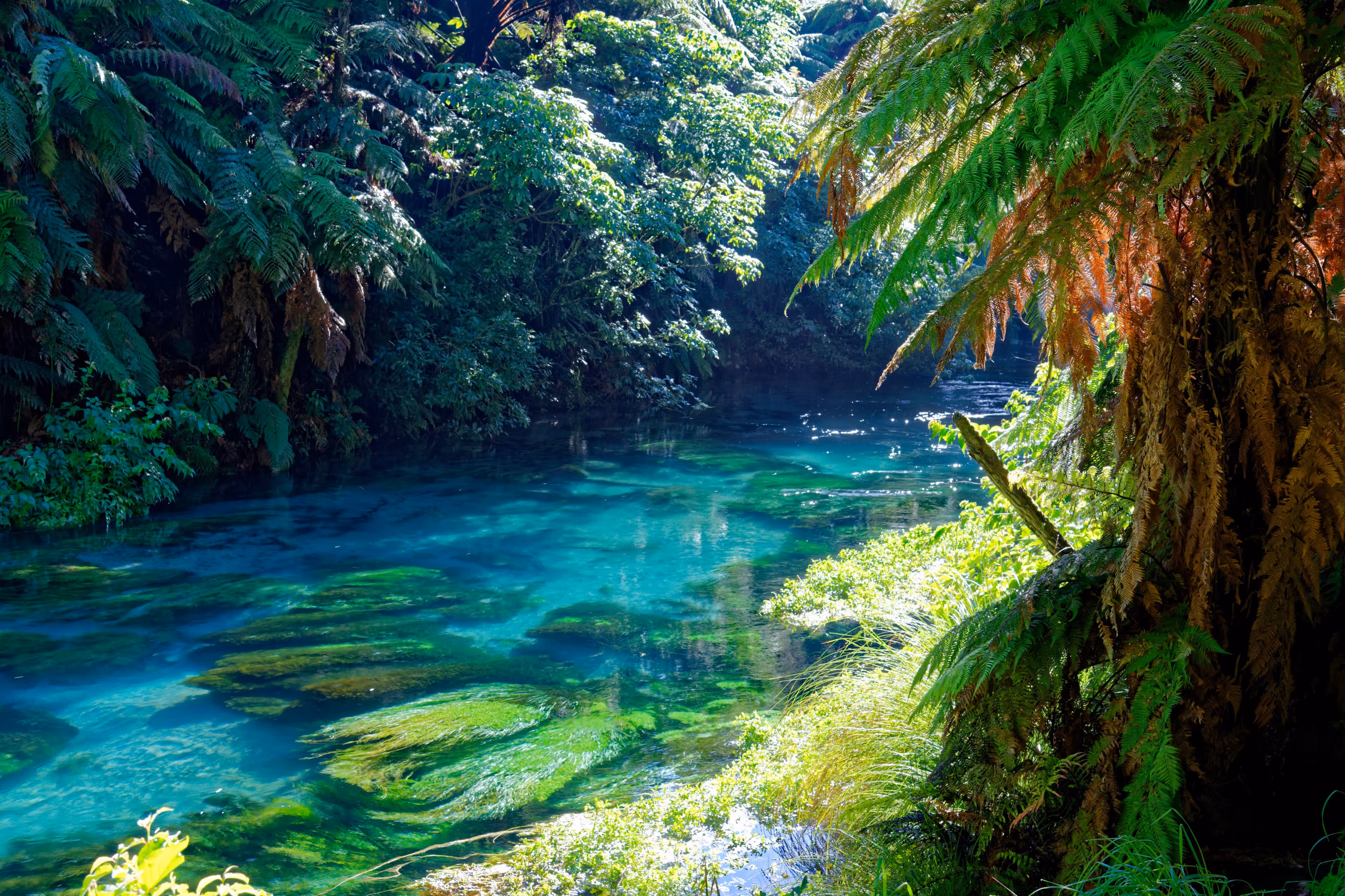 A stream with incredible clarity like the best ai google analytics insights