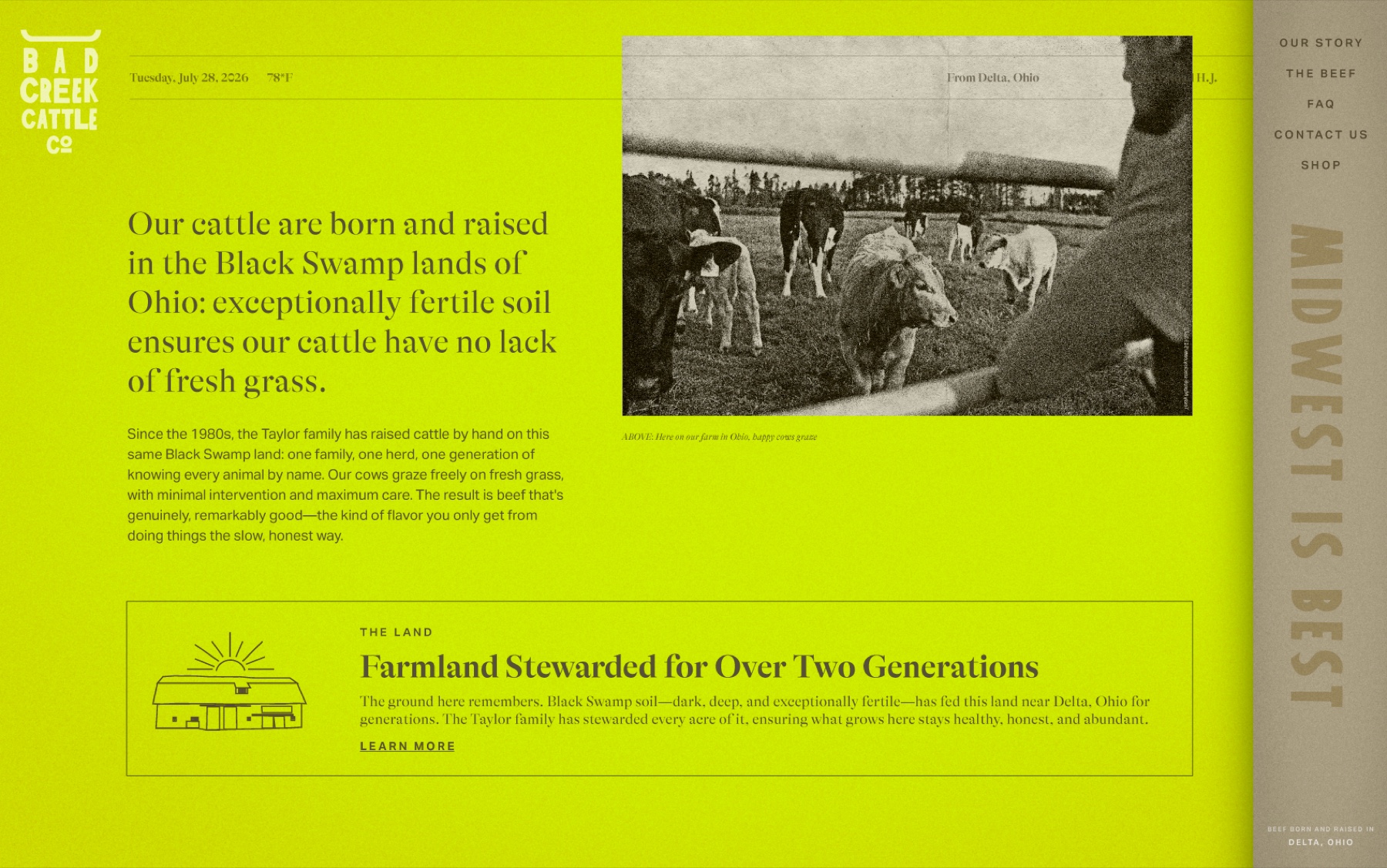 The Bad Creek story page on desktop