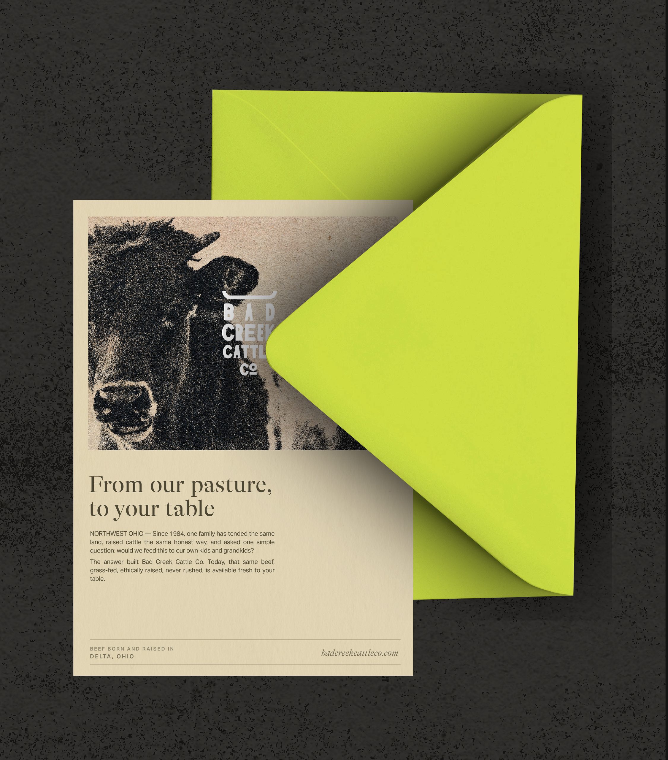 Bad Creek mailer with tissue paper insert