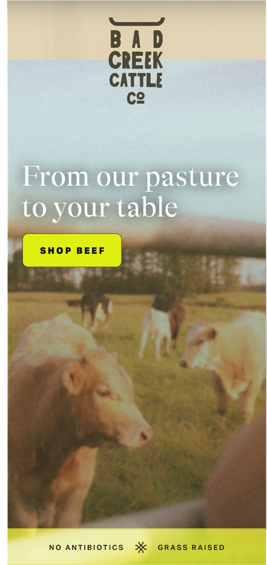 Bad Creek homepage on mobile