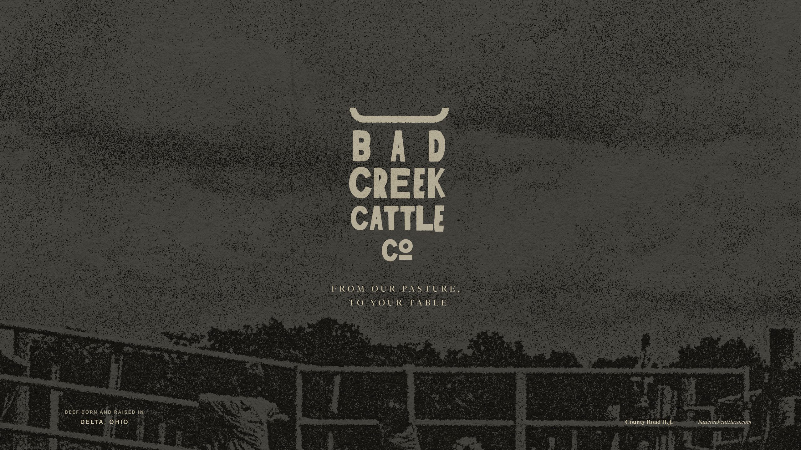 The pasture at Bad Creek in evening light