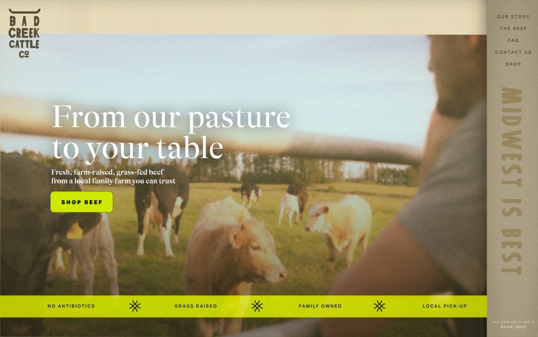 Bad Creek Cattle Co homepage on desktop
