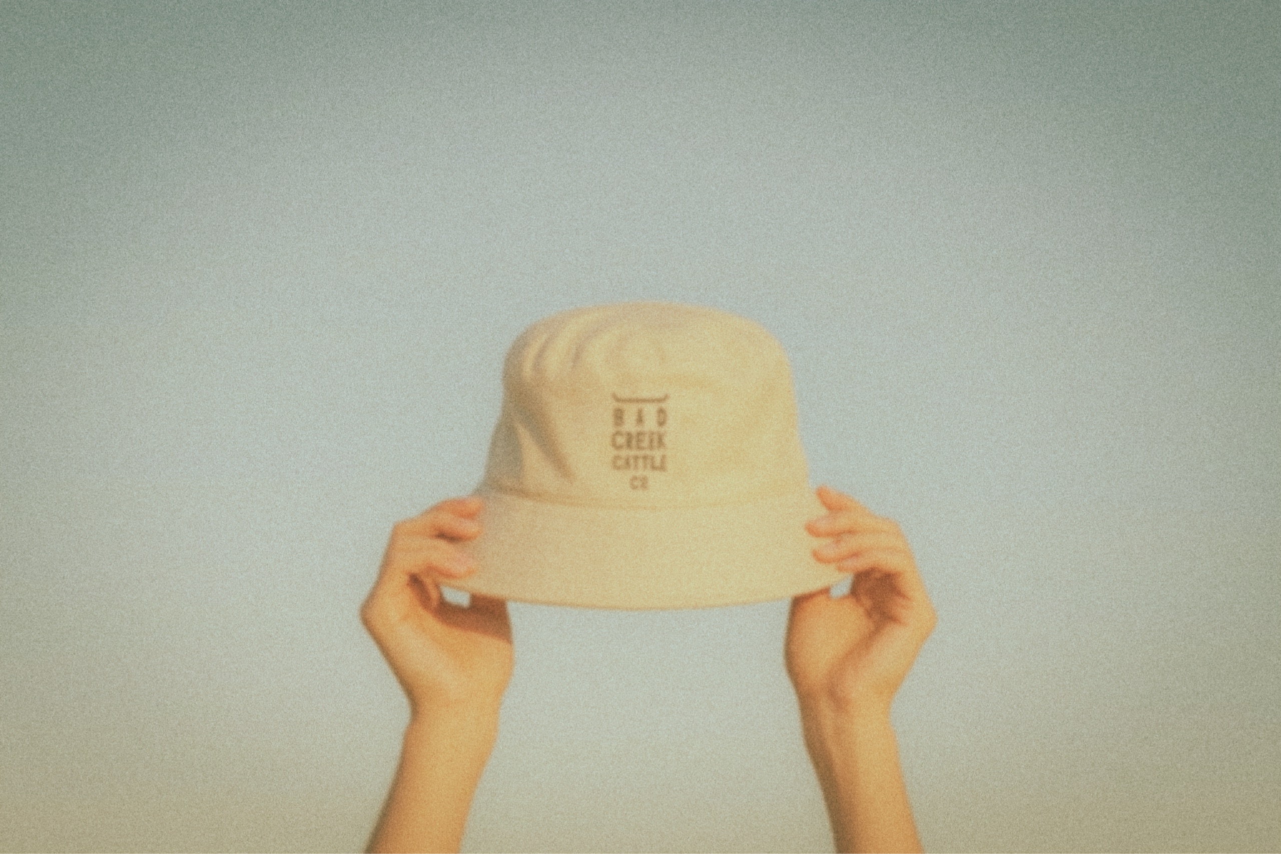 An embroidered Bad Creek Cattle Co cap