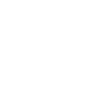 DFIR-IRIS
