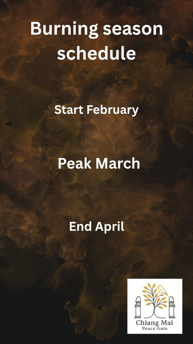 Burning season schedule with start in February, peak in March, and end in April, on a dark brown smoky background with Chiang Mai Peace Gate logo.